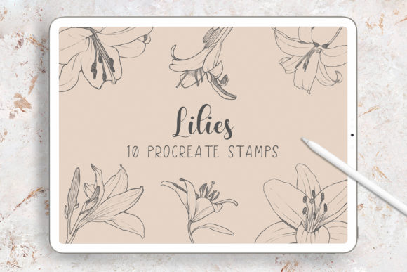 32 Essential Procreate Stamp Brushes You Must Try