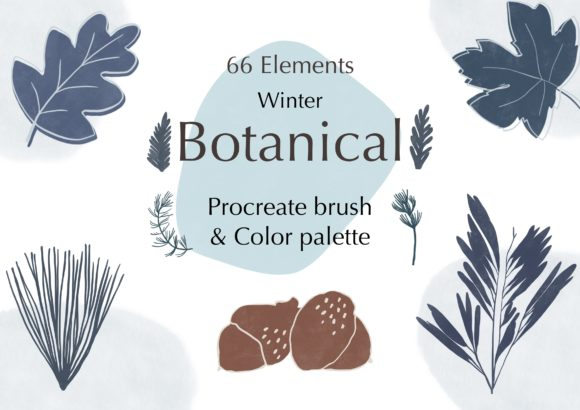 Procreate Stamp Brushes Winter Botanical