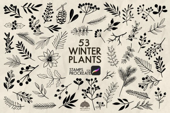 Winter Plants Procreate Stamp Brushes