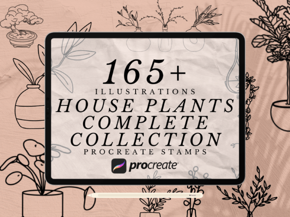 165+ House Plants Procreate Stamps