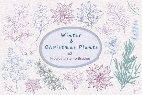 Winter&Christmas Plants Procreate Brush