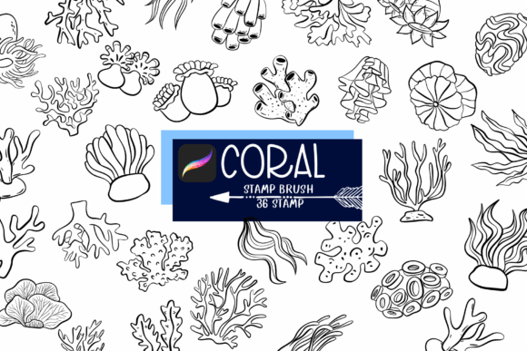 Coral