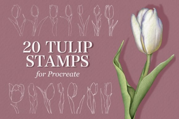 Tulip Stamps for Procreate