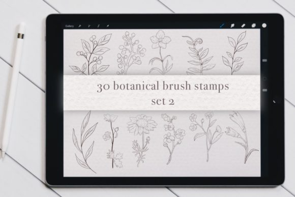 Botanical Brush Stamp Set 2