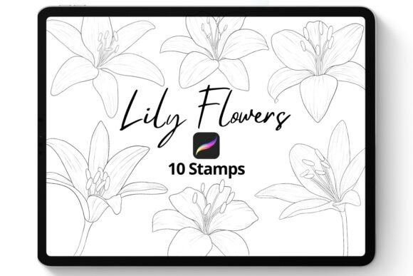 Procreate Lily Flowers Stamp Brushes