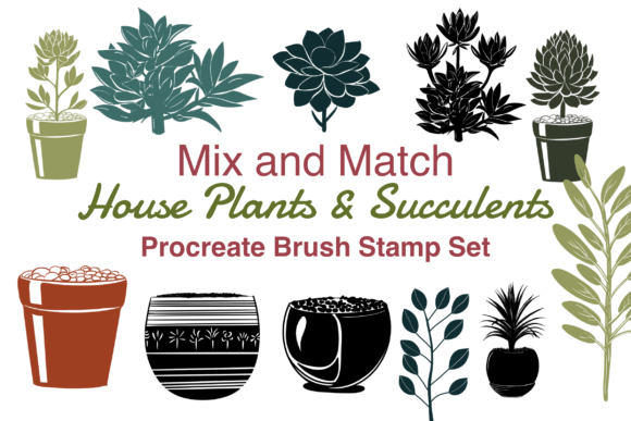 Plant Succulents Procreate Brushes Stamp