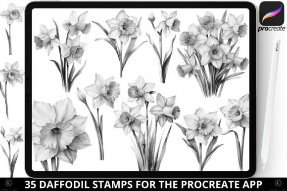 Procreate Daffodil Flowers Stamp Brushes